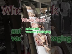 मांस जमे हुए खाद्य पैकेजिंग मशीन खाद्य ग्रेड स्टेनलेस स्टील 304/316 वैक्यूम संरक्षण सील